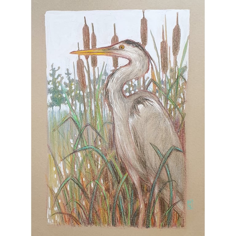 Grey Heron bird drawing, small original artwork, wall art