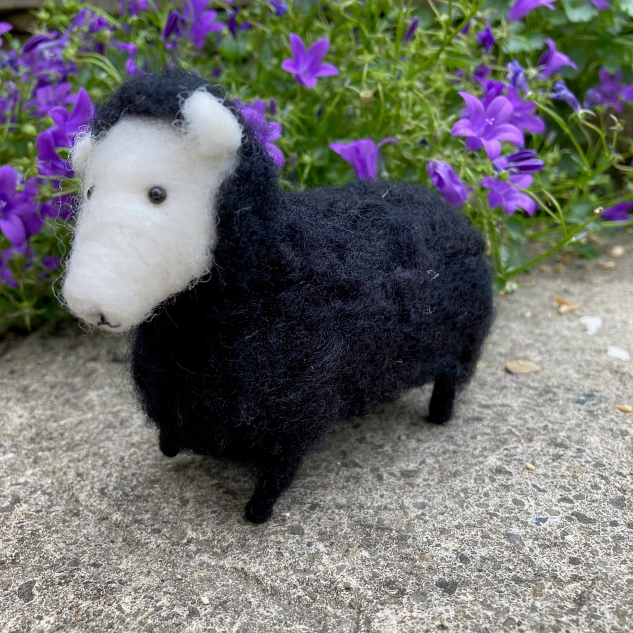 Little model black sheep, needle felted