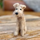 Small fuzzy Airdale, Fox Terrier type dog