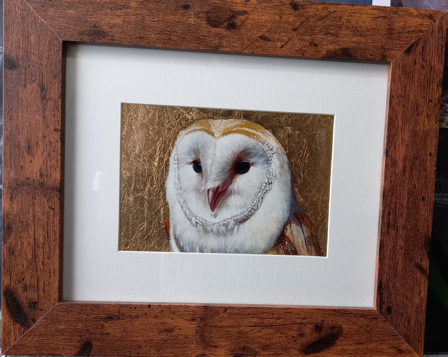 Sweet oil painting of a barn owl on gold leaf