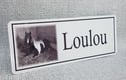 Pet Name Plates/Horse Plaques