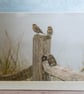 Sparrows on Post Blank Greetings Card - Image 1