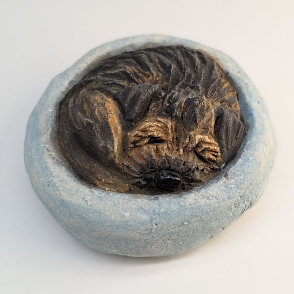 Border Terrier Yorkshire Pudding - 6