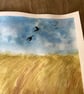 Corn field - Image 2