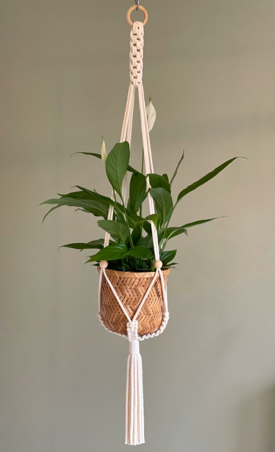 Adjustable Macrame Plant Hanger in Natural - Design Sample