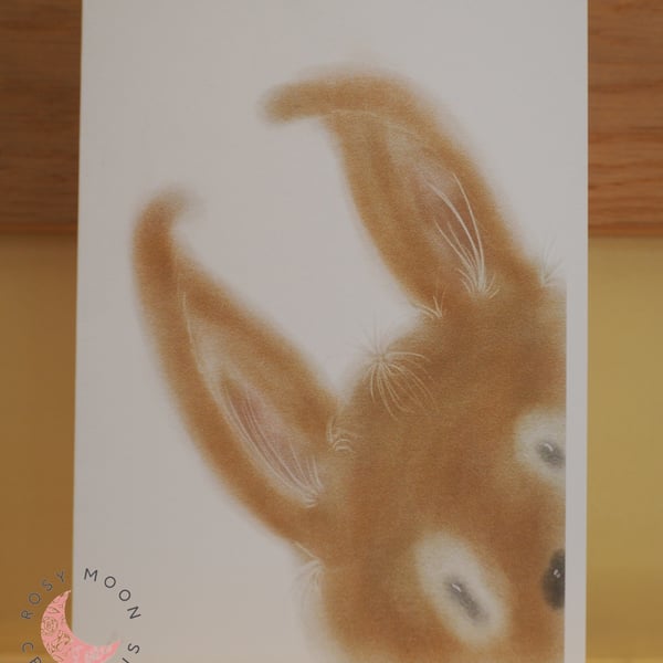 Peekaboos Bunny Blank Card