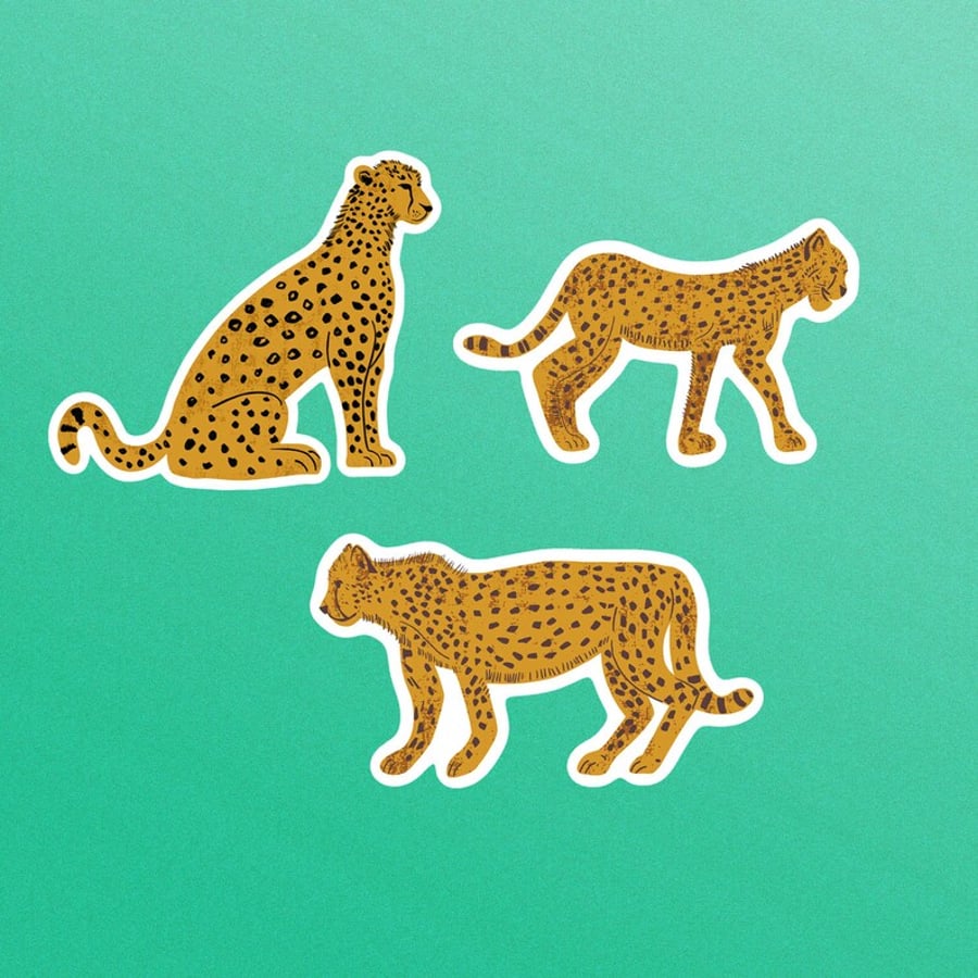 Leopards Illustrated Sticker Pack