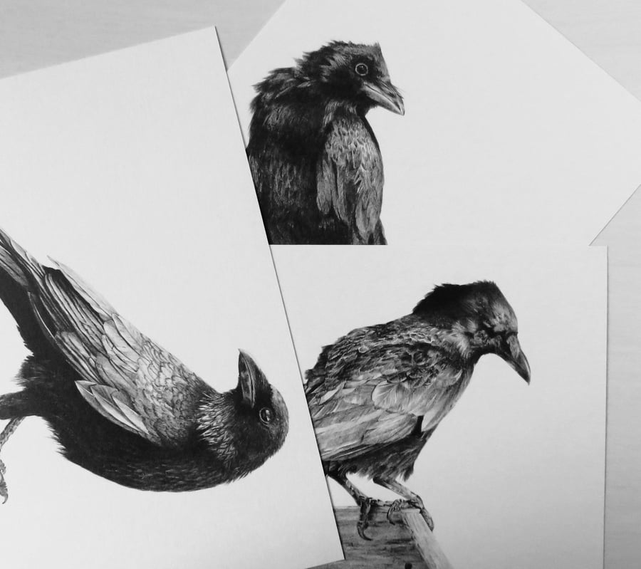 Crow print set on white recycled card stock, A5 black and white 