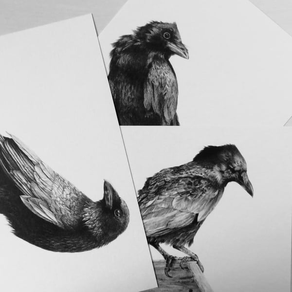 Crow print set on white recycled card stock, A5 black and white 