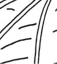 Preying Mantis - Illustrated Insect Cushion - Image 6