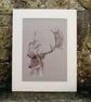 Deer Stag Original Coloured Pencil Drawing - Image 1