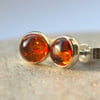 Amber and Sterling Silver Stud Earrings 