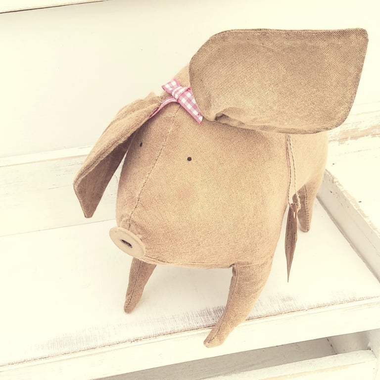 Biggie Piggie the Primitive Pig