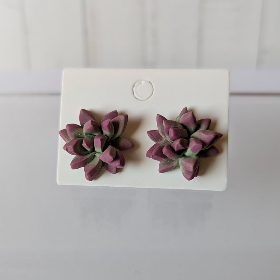 Succulent botanical leaf studs 