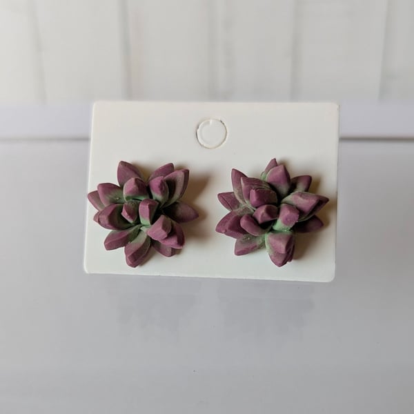 Succulent studs 