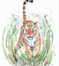 Tiger, wild cat, jungle cat, original painting