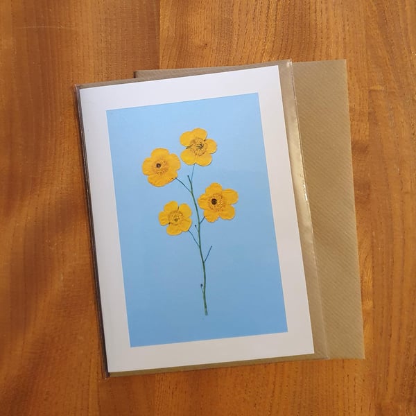 Pressed Flower Greeting Card, Printed - Simply Buttercups