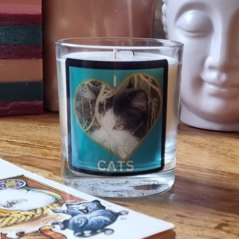 Soy Wax Scented Candle In Glass Love Cats Design 30cl Gift