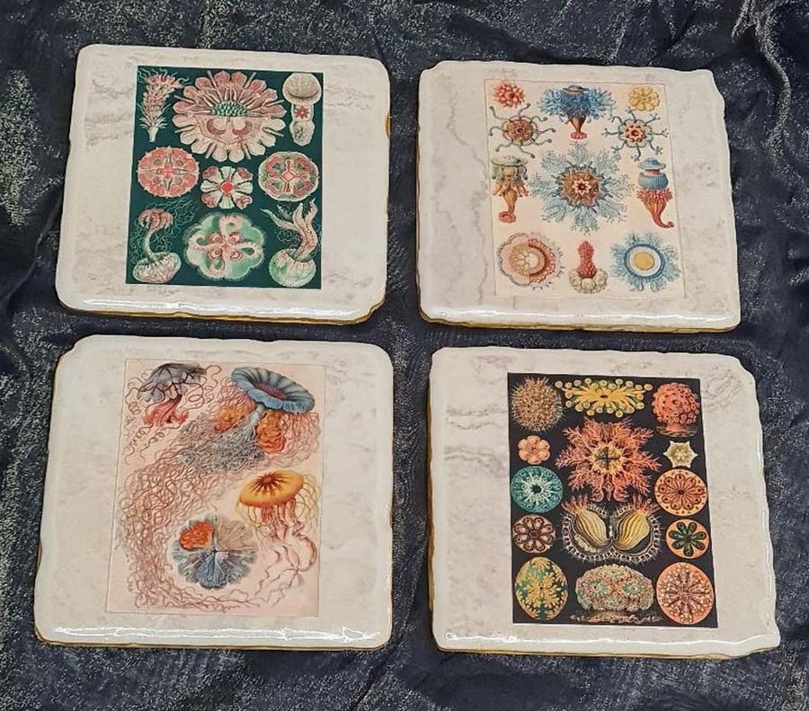 Ceramic Marine Creature Coasters x 4 