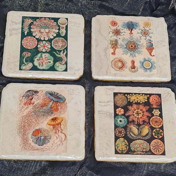 Ceramic Marine Creature Coasters x 4 