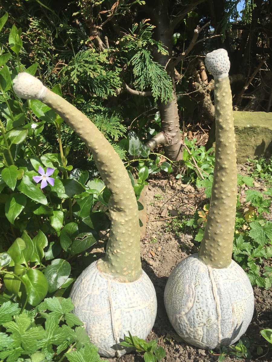 One off, Ceramic pods, sculpture, garden ornament, stoneware, pottery handmade