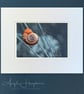 Embroidered Photograph - Mounted Picture - Snail in Normandy France - Image 3