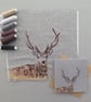 Stag greetings card, blank card, Wildlife - Image 8