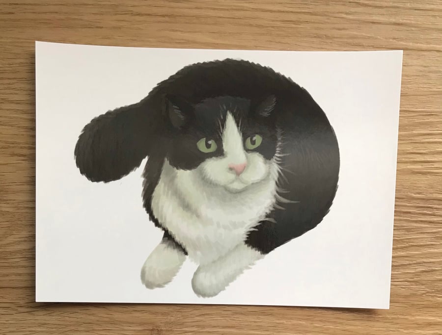 Cat Post Card