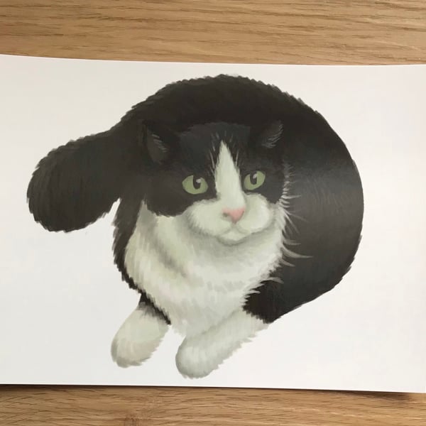 Cat Post Card