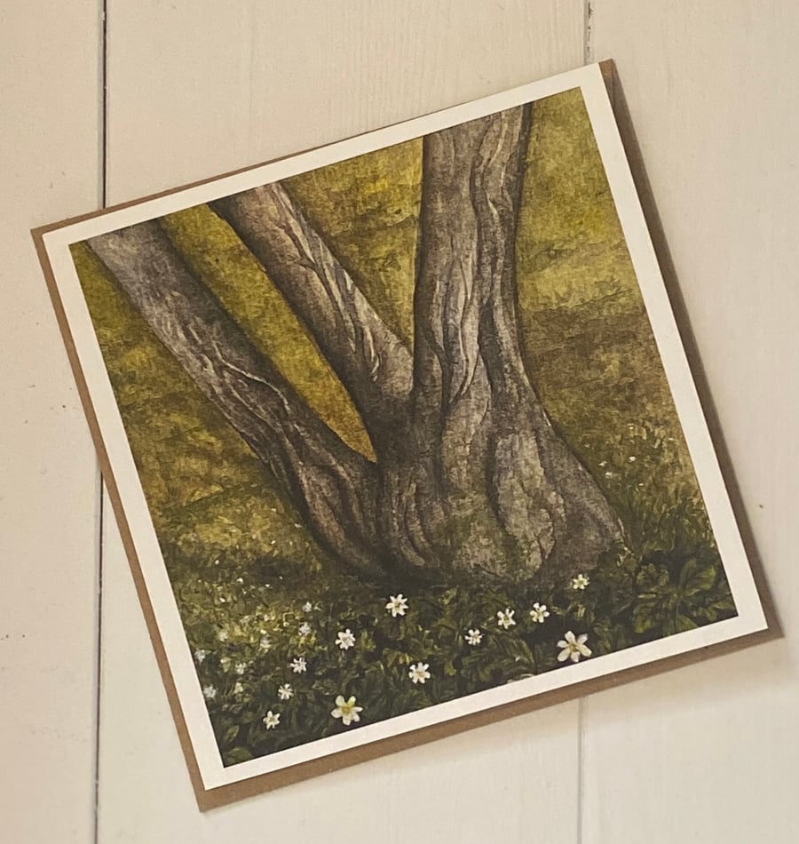 Woodland Anemones Greeting Cards 