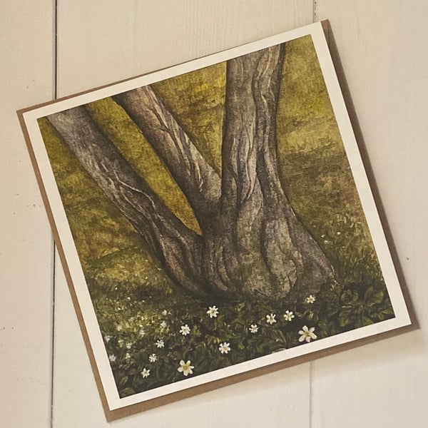 Woodland Anemones Greeting Cards 
