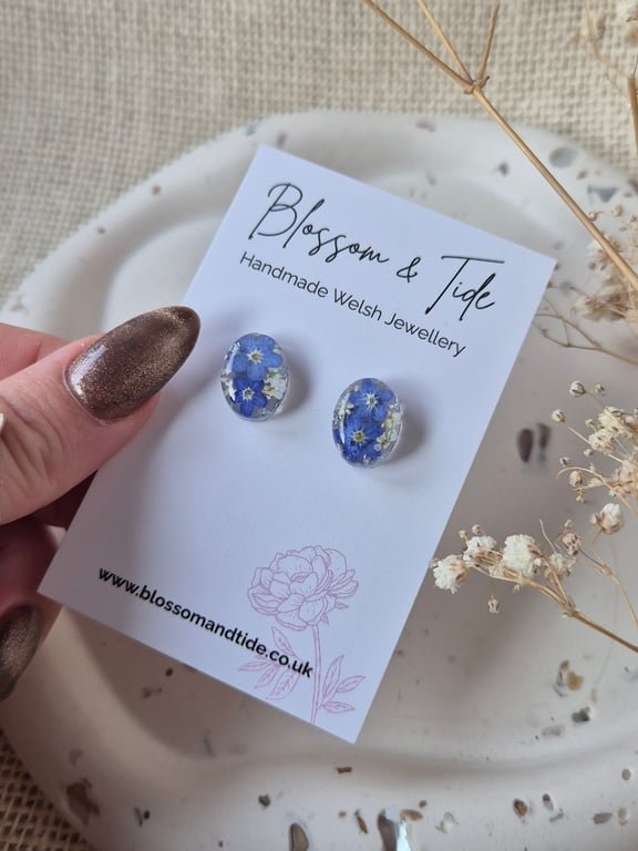 Oval Forget-Me-Not Real Pressed Flower Stud Earrings