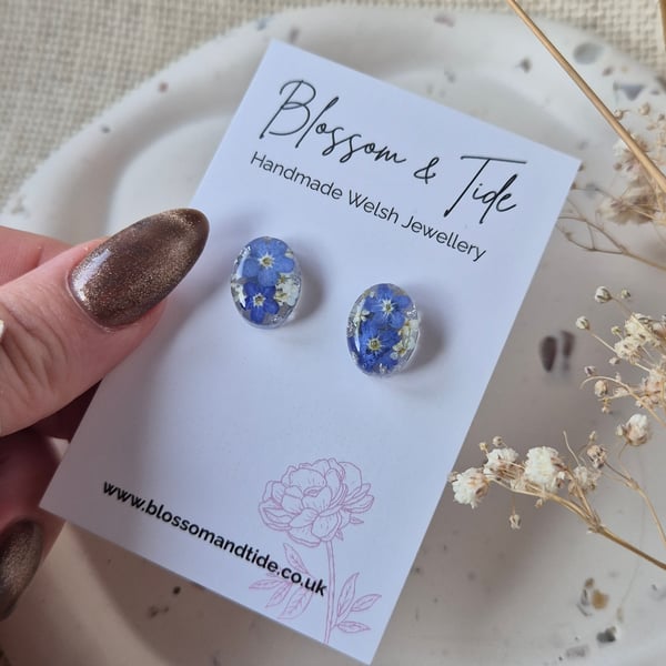 Oval Forget-Me-Not Real Pressed Flower Stud Earrings