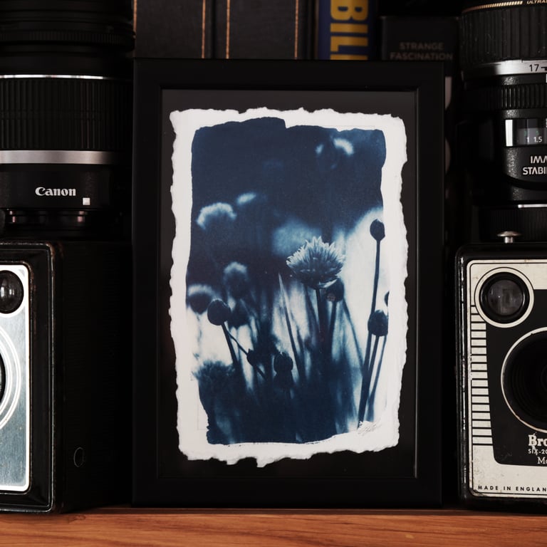 Botanical Cyanotype Photo Print in 12 x 17cm frame. O.O.A.K