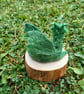 Mossy Dragon Hatchling on a Woodslice - Image 3