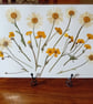 Daisies and Buttercups. Handmade Pressed Flowers. Original Design.