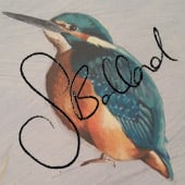 Sophie Bolland Artwork