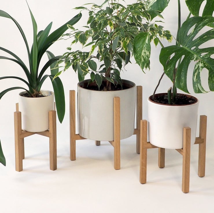 Gifts for Houseplant Lovers