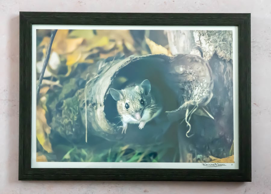 Wood Mouse - Hand-signed Framed Photo