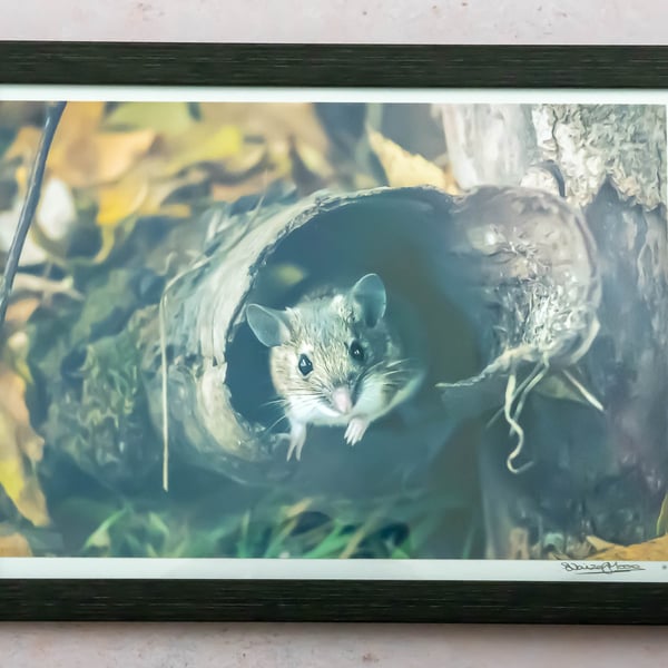 Wood Mouse - Hand-signed Framed Photo