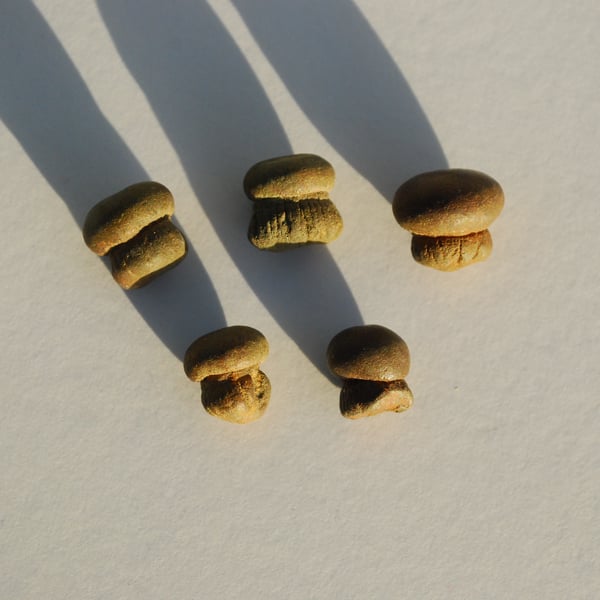 Pyrite mushrooms