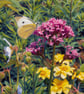 A5 Greeting Card White Butterfly In The Garden 