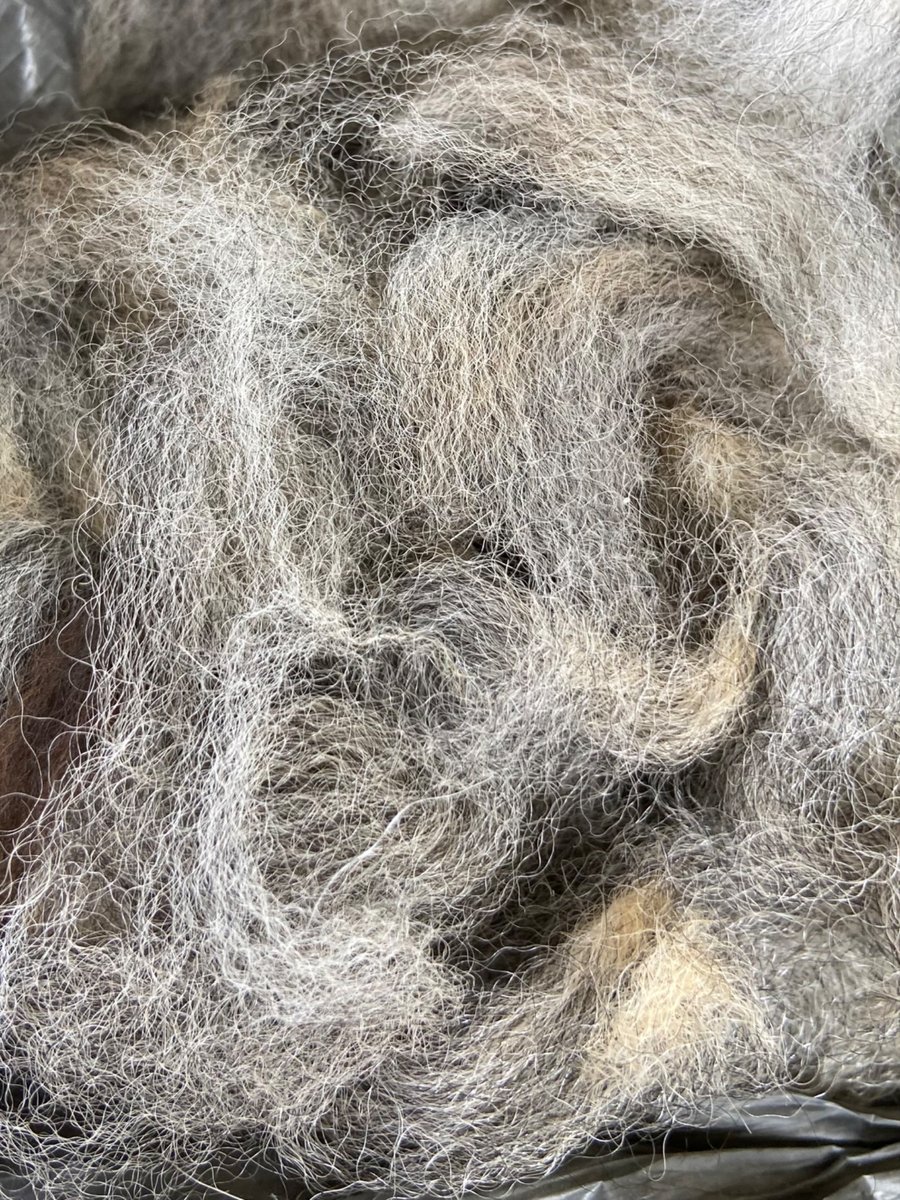 Unprocessed Alpaca Fibre - 50g - Grey