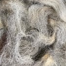 Unprocessed Alpaca Fibre - 50g - Grey