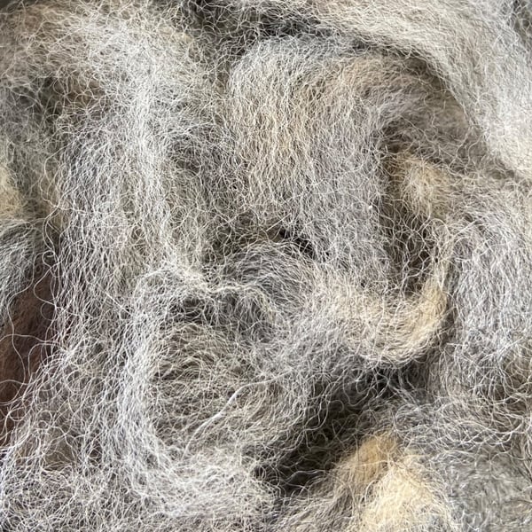 Unprocessed Alpaca Fibre - 50g - Grey