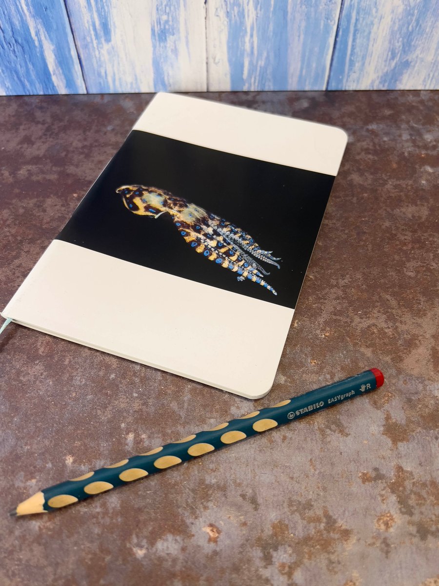 Notebook, Marine themed, A5 (ish), made from up-cycled and recycled materials.