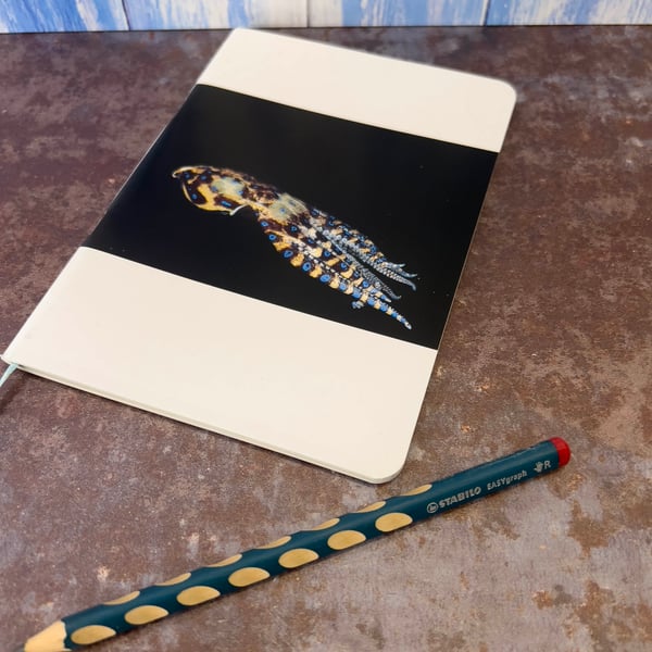 Notebook, Marine themed, A5 (ish), made from up-cycled and recycled materials.