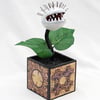 Pin Head Plant