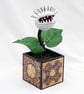 Pin Head Plant
