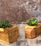 Plant Holder made from beautiful up-cycled wood - Image 2